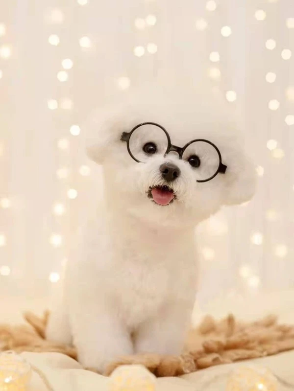 1 ชิ้น แว่นตา สัตว์เลี้ยง กรอบ  ม-036