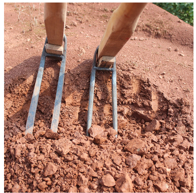 TH223-จอบขุดดิน จอบ 2 ฟัน จอบสองง่าม เหล็กหนา สำหรับขุดดิน พรวนดิน ทำจากเหล็กหลอมด้วยกรรมวิธีเฉพาะ