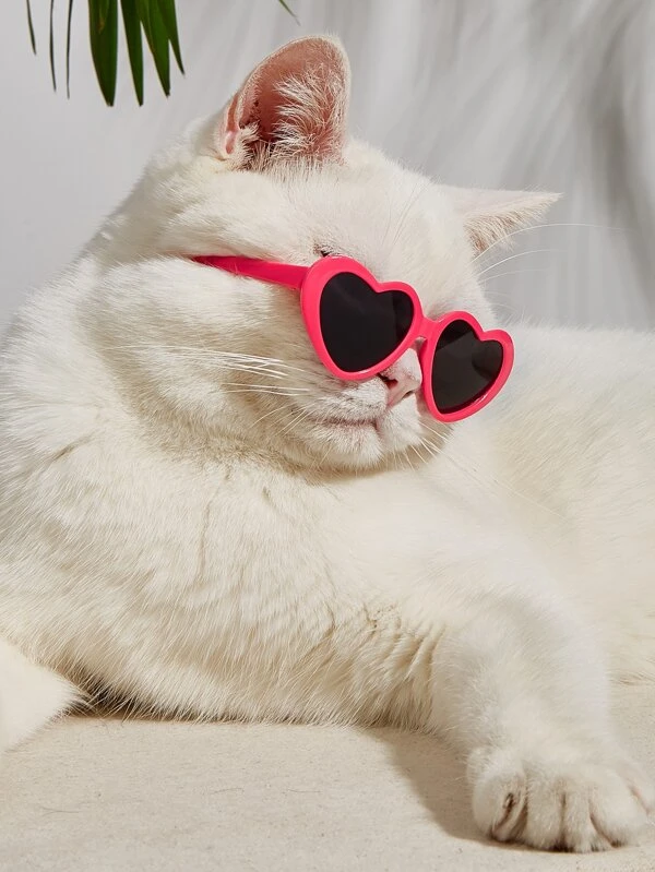 PETSIN แว่นตา สัตว์เลี้ยง หัวใจ 1 อัน  ม-35