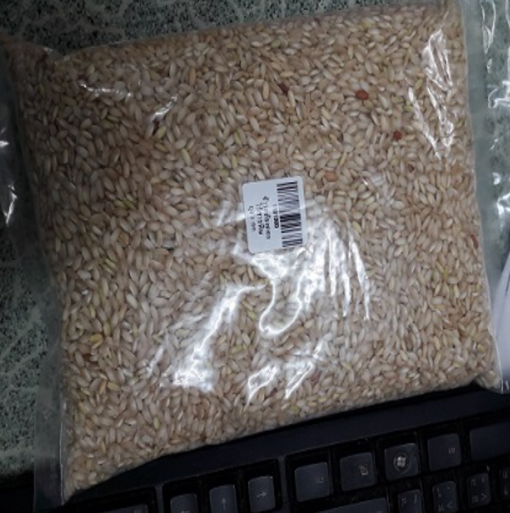 WA36-ข้าวกล้องดอยไร้สารพิษ