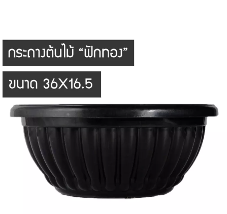 D83-กระถางต้นไม้ กระถางพลาสติก กระถางต้นไม้พลาสติก กระถางฟักทอง