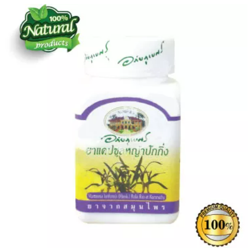 ส016 หญ้าปักกิ่งแคปซูล แก้ไข้ แก้ร้อนใน แก้น้ำเหลืองเสีย อภัยภูเบศร 70แคปซูล