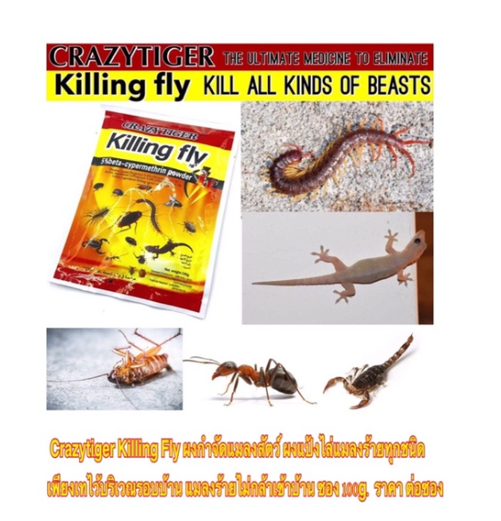 MW127-Crazytiger Killing Fly ผงกำจัดแมลงสัตว์ ผงแป้งไล่แมลงร้ายทุกชนิด แมลงร้ายไม่กล้าเข้าบ้าน ซอง 100g. ราคาถูก ราคา ต่อซอง