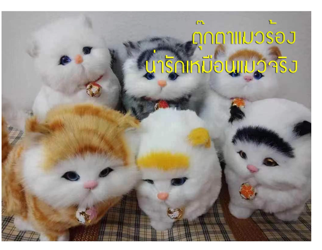 MM78-ตุ๊กตามีเสียง ตุ๊กตาน้องแมวมีเสียง ตุ๊กตาตกแต่งหน้ารถ ตุ๊กตาตกแต่งห้อง ตุ๊กตาตกแต่งบ้าน